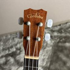 Cordoba 20TM-CE テナーサイズ【現物画像】_7