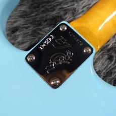 Fender Eric Johnson Stratocaster Tropical Turquoise_10