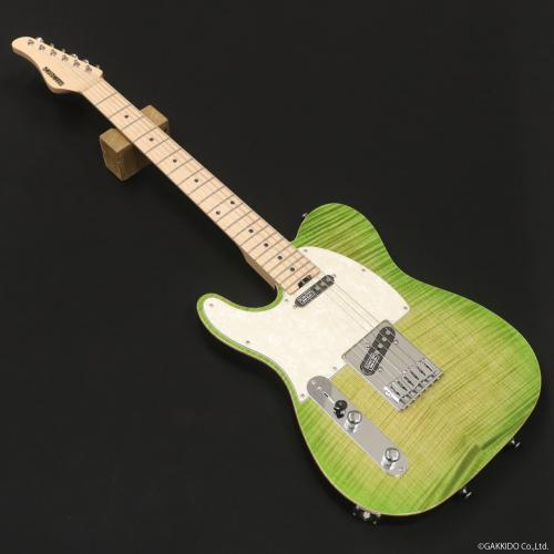 SCHECTER TE-CTM/LGB/M/LH [Sound Messe 2026 Special Edition]