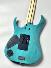 Ibanez 【Spalted Maple Top】【葉月(HAZUKI)Model】HZK1  #F2616605【3.66KG】_4