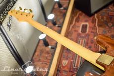 SCHECTER Platinum Wood Series PW-EX-B-BL (Natural)_9