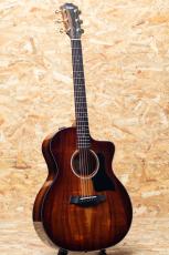Taylor 224ce-K DLX 2019_3