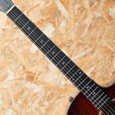 Taylor 224ce-K DLX 2019_6
