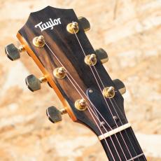 Taylor 224ce-K DLX 2019_8