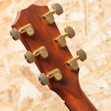Taylor 224ce-K DLX 2019_9