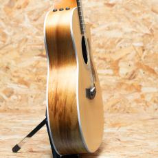 Taylor 214ce-K_4