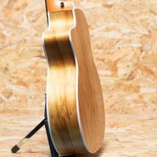 Taylor 214ce-K_5