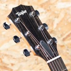 Taylor 214ce-K_8