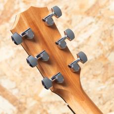 Taylor 214ce-K_9