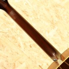 Martin D-76 1976_7