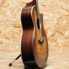 Taylor 814ce Special Edition Shade Edge Burst_4