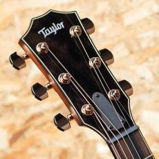 Taylor 814ce Special Edition Shade Edge Burst_8