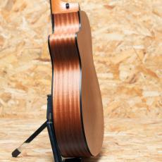 Taylor 112ce_5