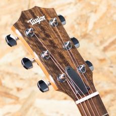 Taylor 112ce_8