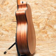 Taylor 114ce_5