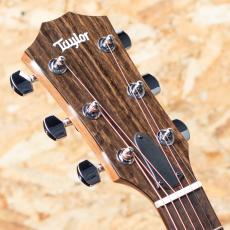 Taylor 114ce_8