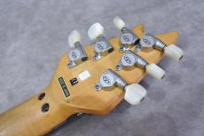 EVH wolfgang SPECIAL 【Made In Japan 製造初年度】_10