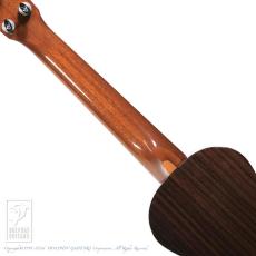 ASTURIAS Tiny Concert Spruce Rosewood 【24回無金利対象品】_5