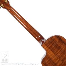 VG EAR-01 Vintage Ltd. Koa_6