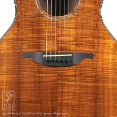 VG EAR-01 Vintage Ltd. Koa_10