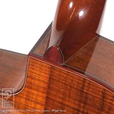VG EAR-01 Vintage Ltd. Koa_12