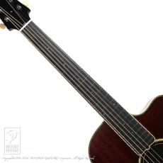 Switch SL-2 Bee【60回無金利対象品】_5