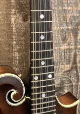 Eastman MD-315 _4