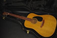 Martin D-18_2