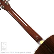 NEW ERA GUITARS Euphonon Dreadnought_6