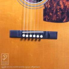 NEW ERA GUITARS Euphonon Dreadnought_10
