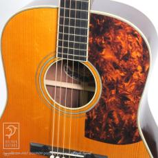 NEW ERA GUITARS Euphonon Dreadnought_11