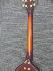 YAMAHA VG-STANDARD ATS ASKAモデル_8