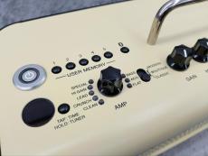 YAMAHA THR30II Wireless 専用キャリングバッグ付き_4