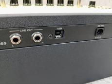YAMAHA THR30II Wireless 専用キャリングバッグ付き_6