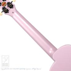 aNueNue LYRA Fine Tune Fiber Glass (Dustry Rose)_6