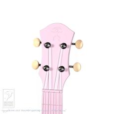 aNueNue LYRA Fine Tune Fiber Glass (Dustry Rose)_7