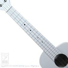 aNueNue LYRA Fine Tune Fiber Glass (Cool Gray)_5