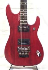 Washburn N24-NUNO Vintage Padauk