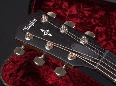 Taylor 417e Rosewood ~Sunburst~_3