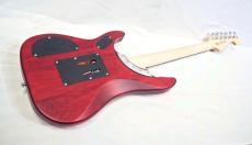 Washburn N24-NUNO Vintage Padauk_6
