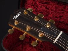 Taylor 224ce-Koa DLX ~Shaded Edgeburst~_3