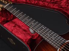 Taylor 224ce-Koa DLX ~Shaded Edgeburst~_9