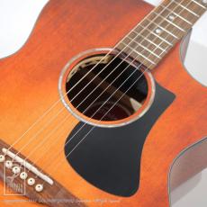 Eastman PCH1-GACE-CLA_10