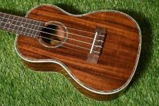 DCT DUC-150K Concert