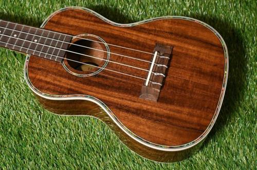 DCT DUC-150K Concert