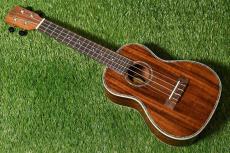 DCT DUC-150K Concert_3