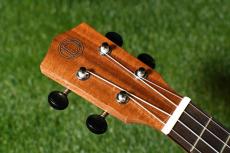 DCT DUC-150K Concert_5