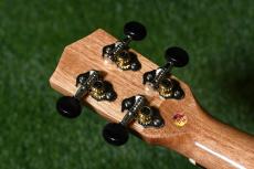 DCT DUC-150K Concert_6