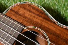 DCT DUC-150K Concert_9
