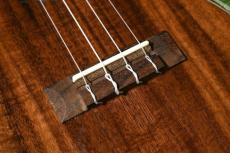 DCT DUC-150K Concert_11